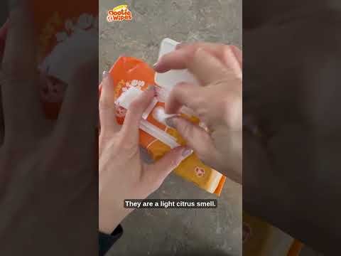 Best Pet Wipes for Dogs? ud83dudc36 | GoGo Stik Heavy Dootie Wipes Review Best Pet Wipes for Dogs? ud83dudc36 | GoGo Stik Heavy Dootie Wipes Review