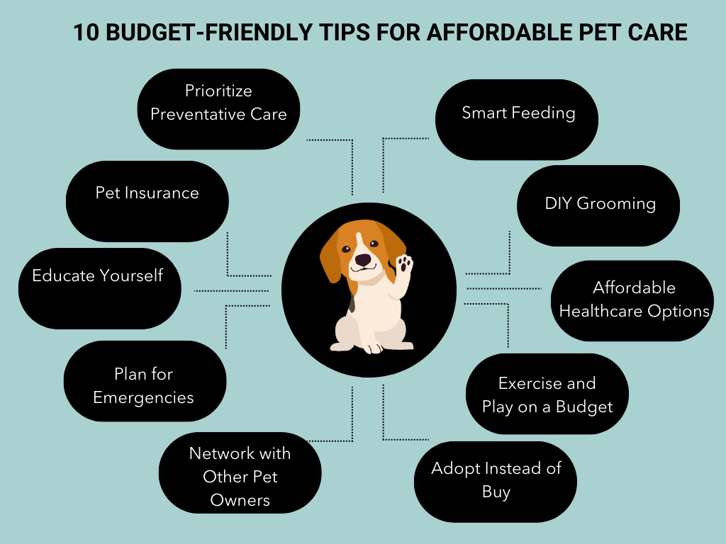 10+Affordable+Pet+Care