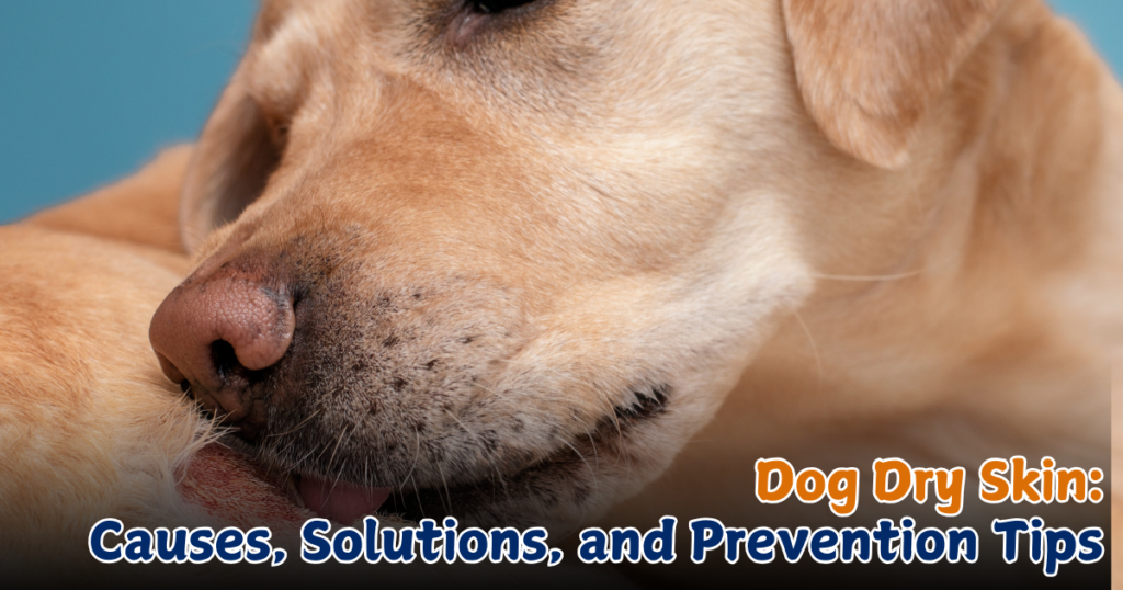 Dog Dry Skin: 7 Causes, Solutions, and Prevention Tips