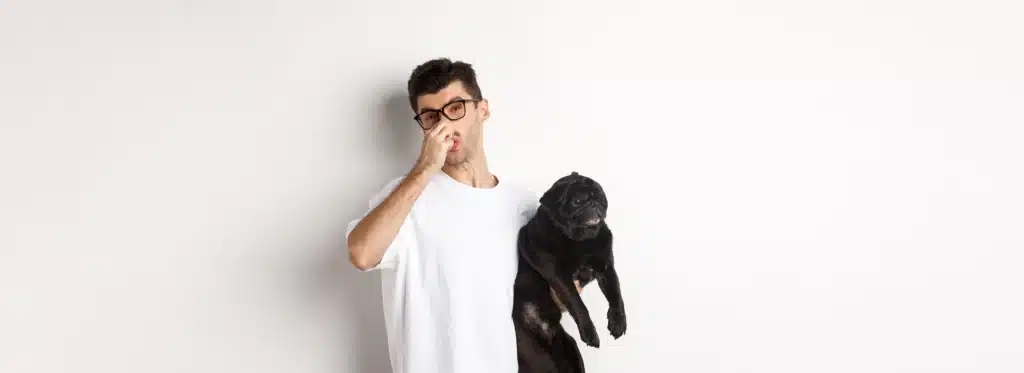 Dog Smells Like Fish