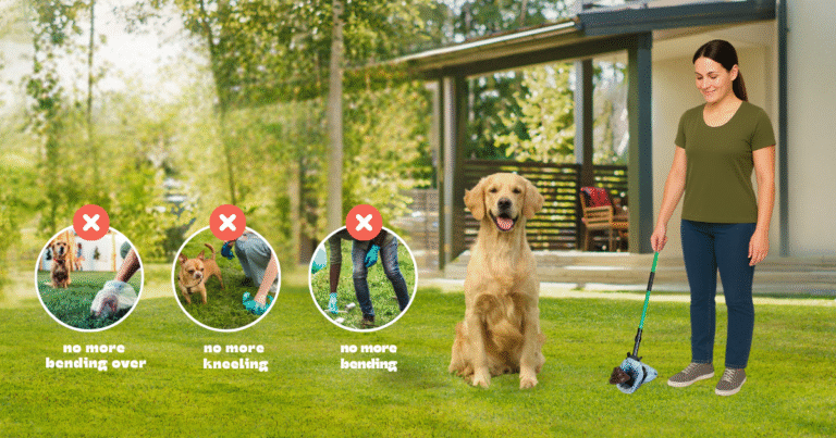 The Ultimate Guide to Choosing the Best Dog Pooper Scooper in 2025