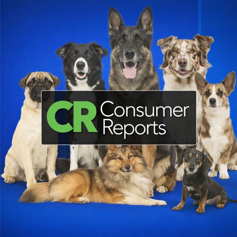 GoGo Stik Named Best Ergonomic Pooper Scooper by Consumer Reports