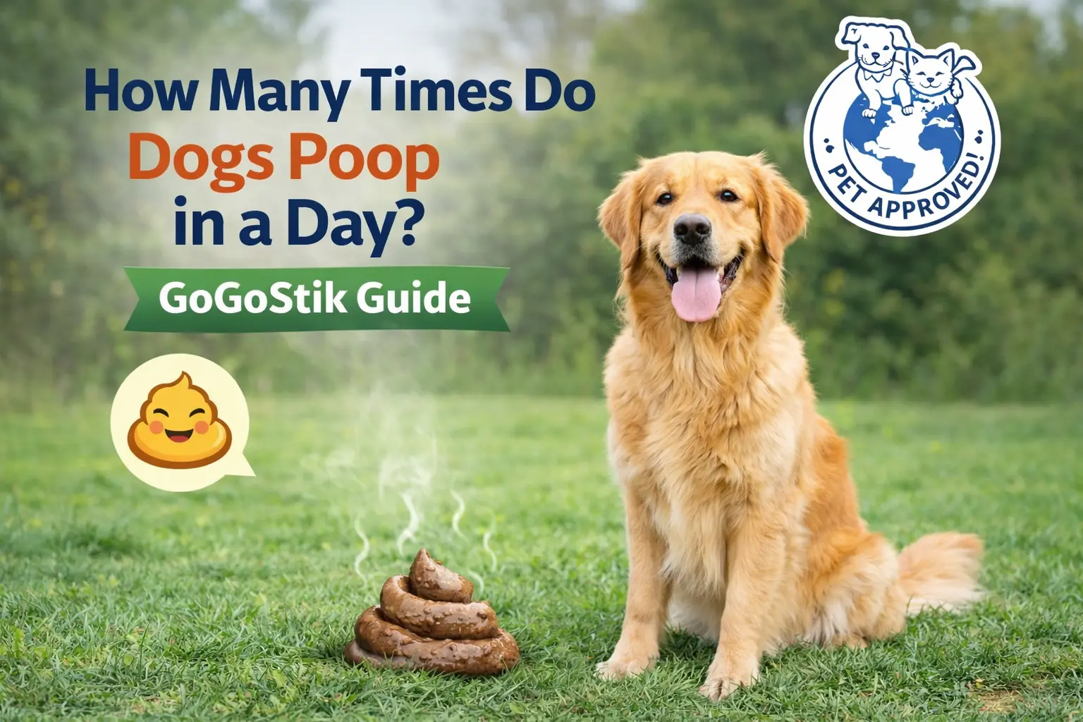 How Many Times Do Dogs Poop in a Day? | GoGoStik Guide