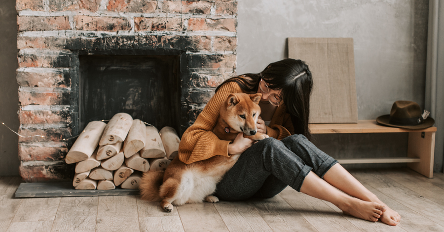 How to Prepare Self-Isolation Pet Owner