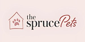 Logo 7